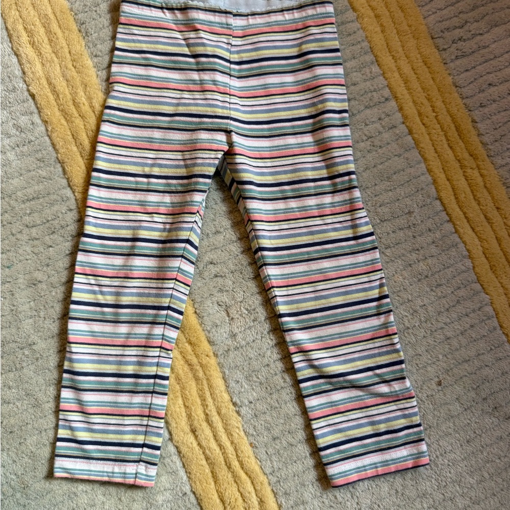 Striped Multicolor Tea Collection Leggings